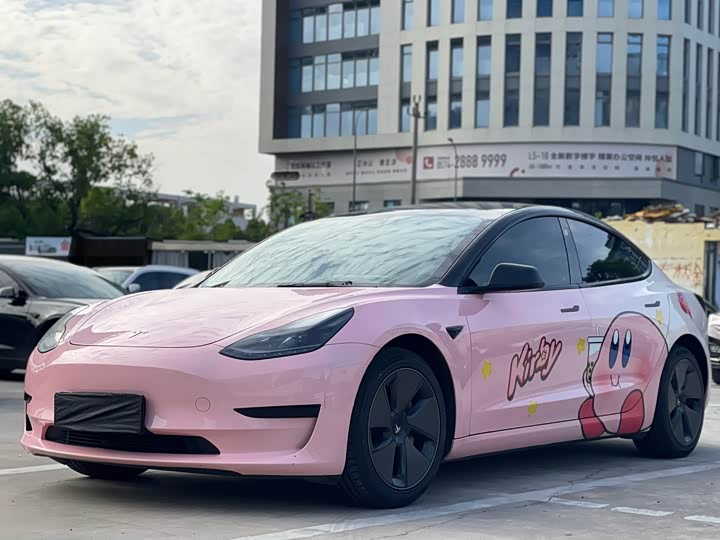Model 3 2022 rear-wheel drive version