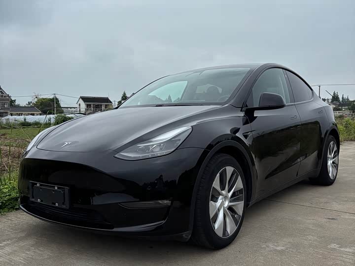 Model Y 2021 standard range rear-wheel drive version