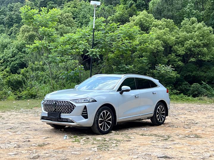 WEY Mocha 2021 Model 2.0T Two-wheel drive Special Edition
