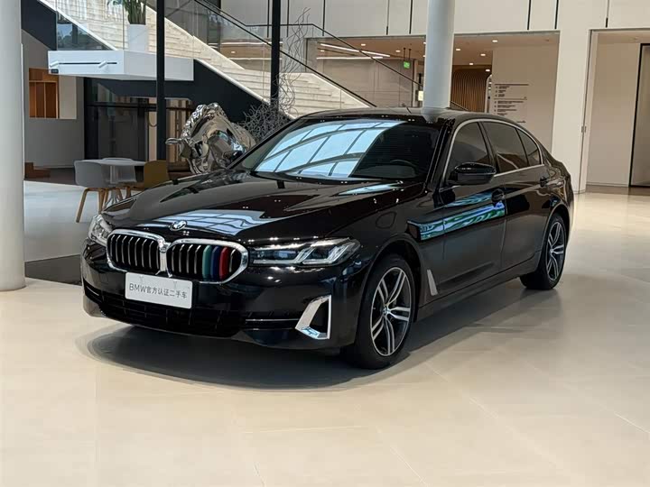 BMW 5 Series 2021 530Li Leading Luxury Package