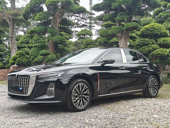 Hongqi H5 2025 2.0T automatic Qichang version