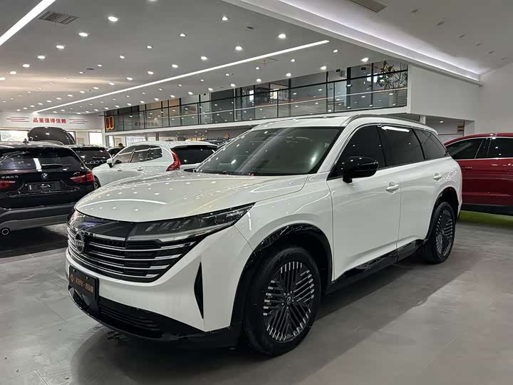 Tanlu 2024 380VC-TURBO four-wheel drive Zhizun Edition 6 seats