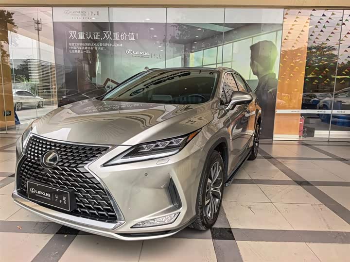 Lexus RX 2020 300 four-wheel drive elegant version National VI