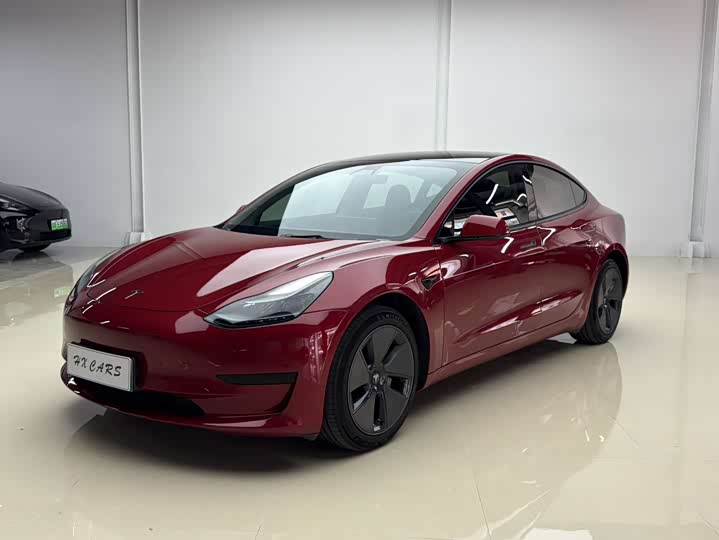 Model 3 2021 standard range rear drive upgraded version 3D6