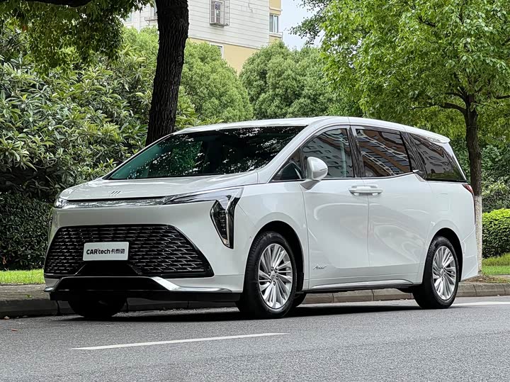 Century 2025 Model 2.0T Seven-Seater Yunshi Edition