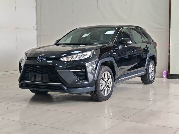 Wilanda 2022 Dual Engine 2.5L E-CVT Two-wheel Drive Deluxe Edition
