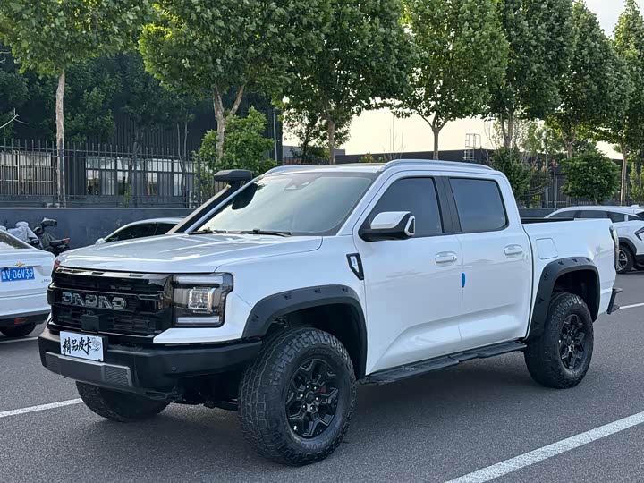 DaDao 2023 Flying General 2.3T gasoline automatic four-wheel drive extreme version