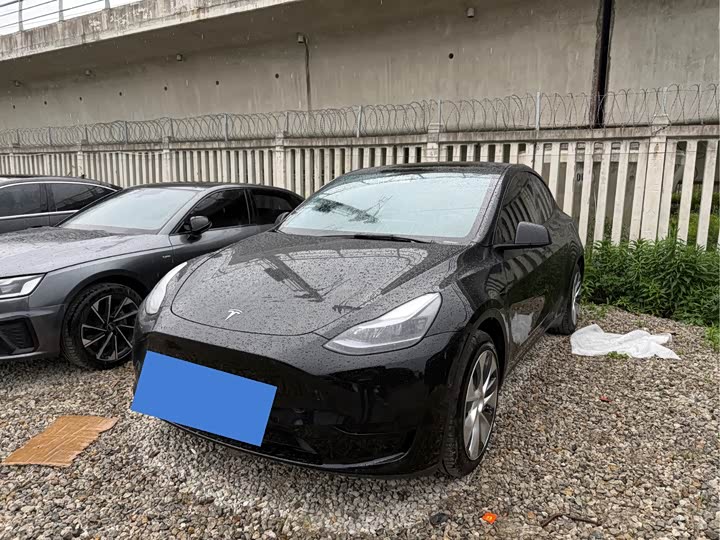 Model Y 2024 long-range all-wheel drive version