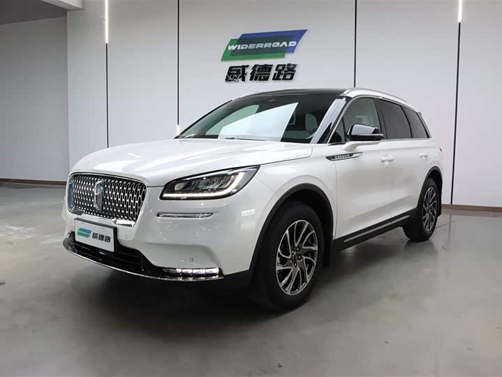 Adventurer 2021 2.0T Two-wheel drive Premium Edition