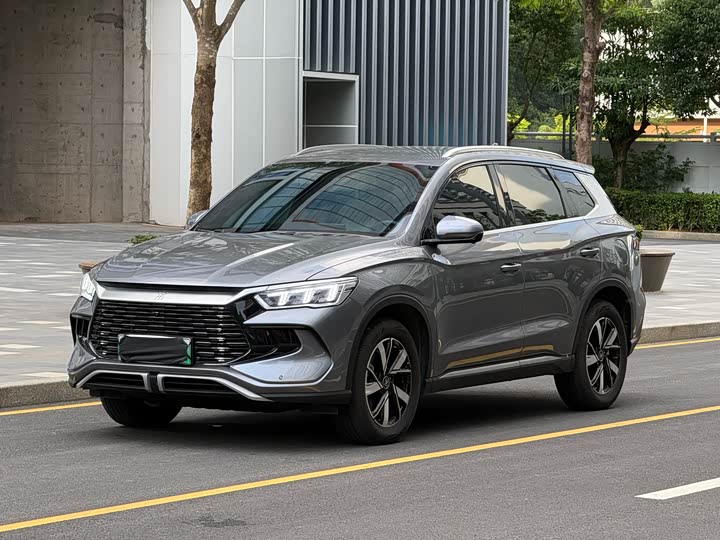 Song Pro New Energy 2024 Honor Edition DM-i 71KM Pilot Model