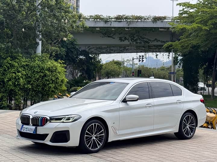 BMW 5 Series 2022 530Li Leading Luxury Package