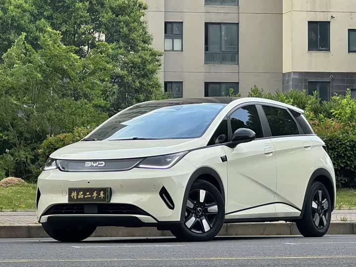 Dolphin 2025 smart driving version 410km fashion version