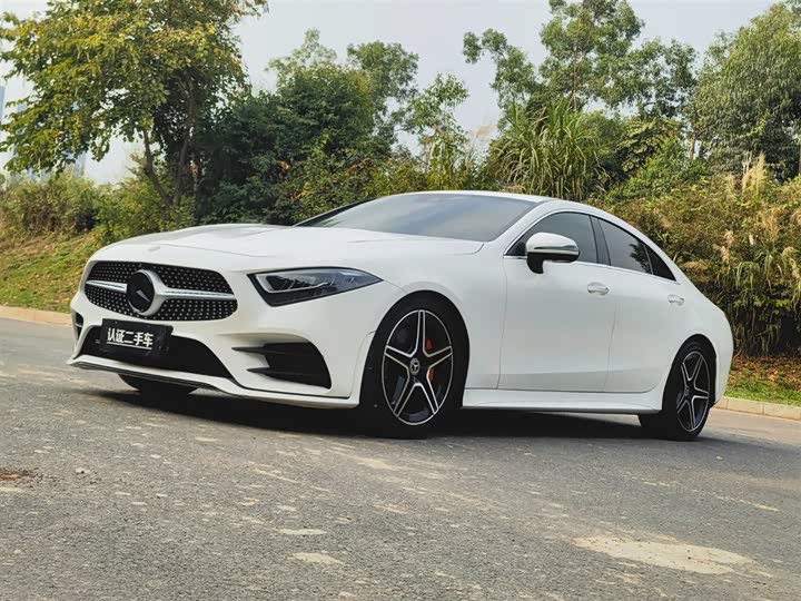 Mercedes-Benz CLS 2021 Model CLS 300 LuxuryModel