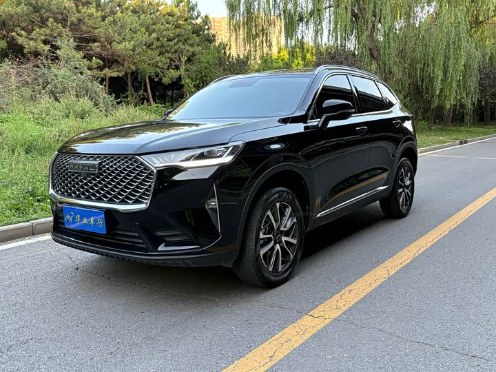 Haval H6 2022 third generation 1.5T automatic two-wheel drive Pro