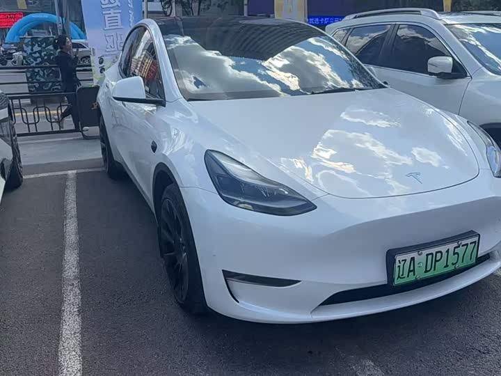 Model Y 2024 long-range all-wheel drive version