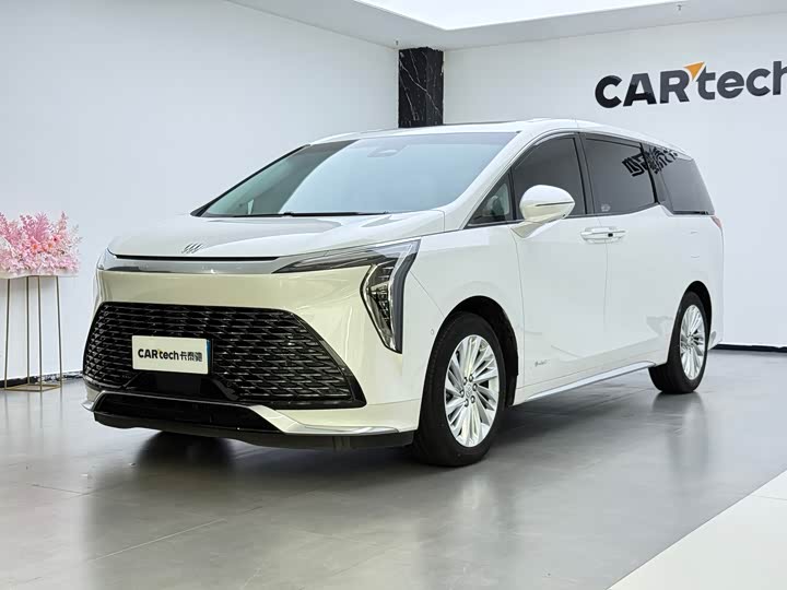 Century 2025 Model 2.0T Seven-Seater Yunshi Edition