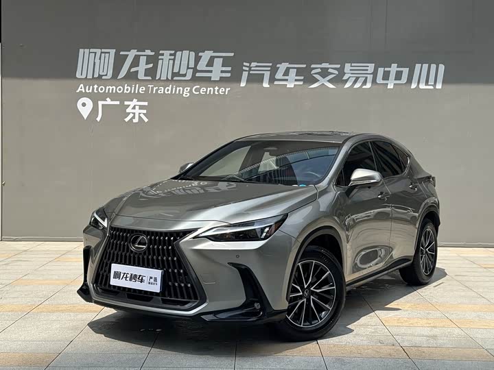 Lexus NX 2025 200 FUN