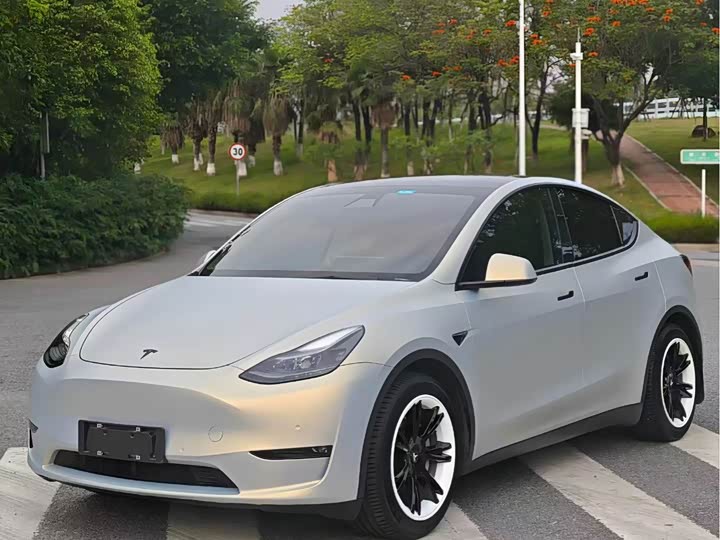Model Y 2021 Model Standard battery life rear drive Edition