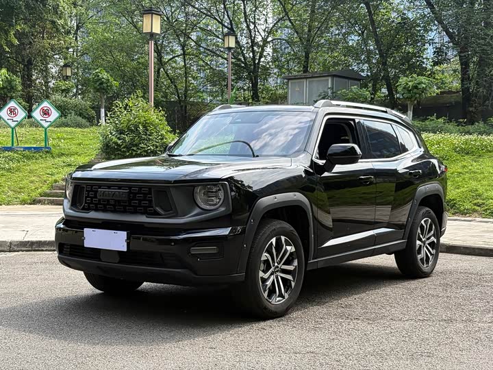 Haval Big Dog PLUS 2023 2.0T two-wheel drive wild version Plus