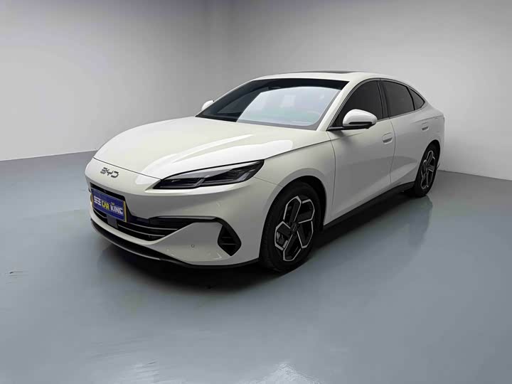 Seal 06 2024 Model DM-i 120KM flagship model