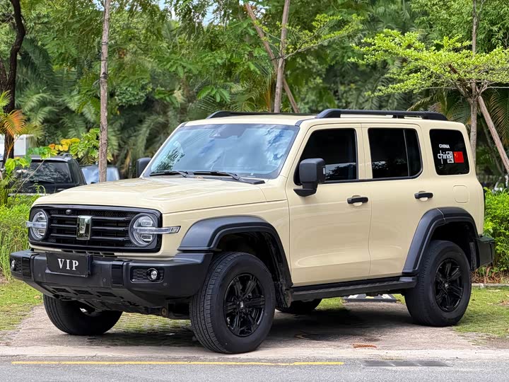Tank 300 2025 2.0T gasoline challenger