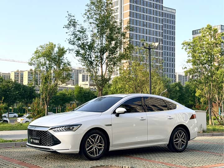 Qin PLUS 2023 Champion Edition DM-i 55KM Transcendent Type