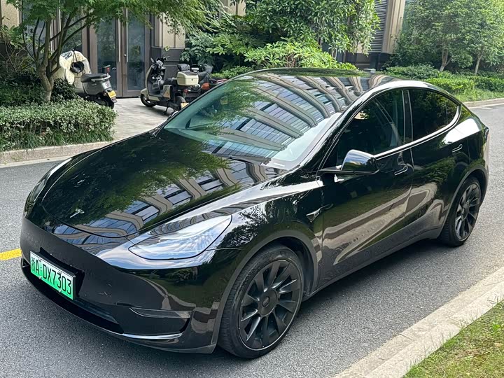 Model Y 2021 standard range rear-wheel drive version