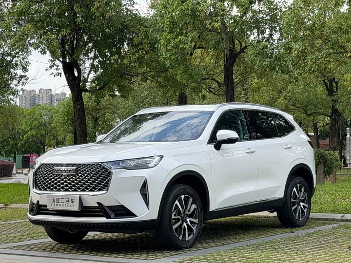 Haval H6 2021 third generation 1.5T automatic two-wheel drive Max