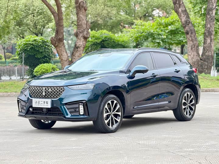 2021 Wei brand VV7 2020 2.0T super luxury model