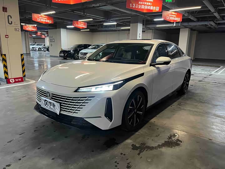 2024 Yida 2023 Blue Whale NE 1.5T GDI DCT Pilot Edition