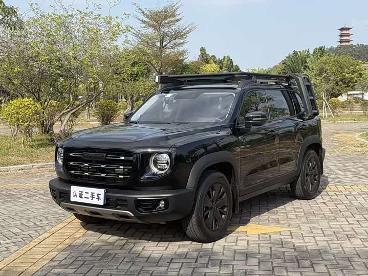Havaldog 2022 1.5T DCT two-wheel drive Labrador version