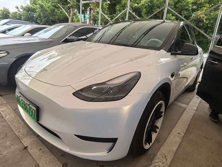 Model Y 2022 Model Rear Wheel Drive Edition