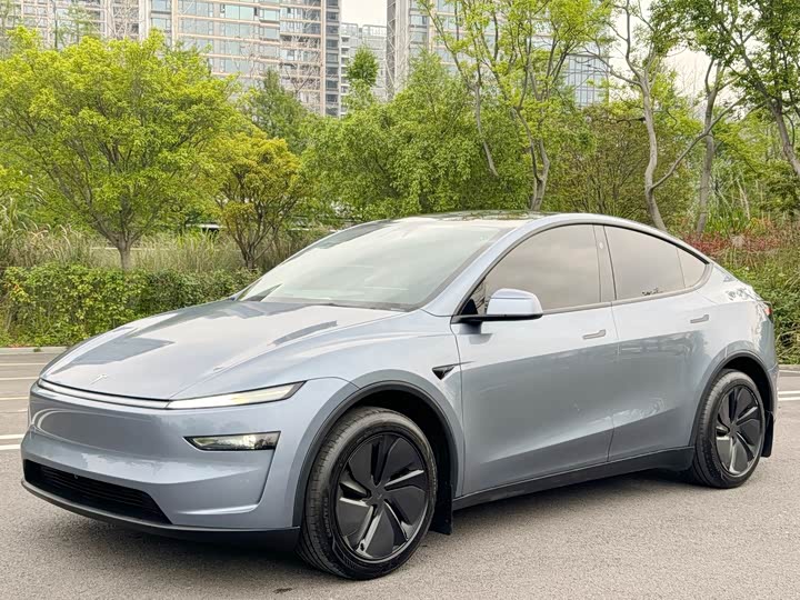 Model Y 2025 Model Rear Wheel Drive Edition