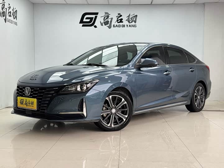 Ruicheng CC 2022 Model Blue Whale Edition 1.5T DCTLuxuryModel