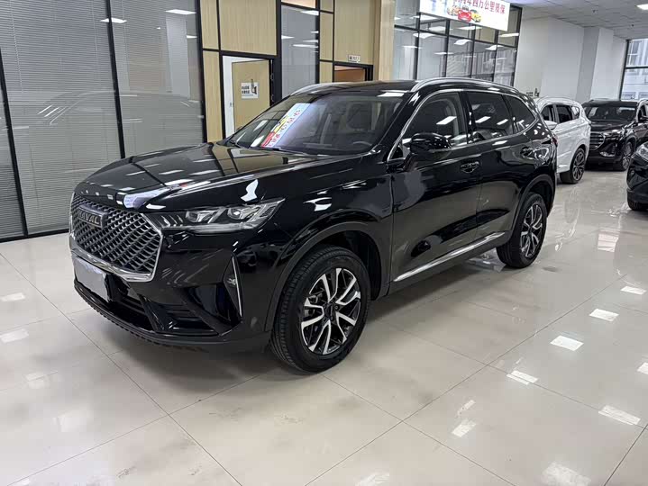 Haval H6 2022 third generation 1.5T automatic two-wheel drive Pro
