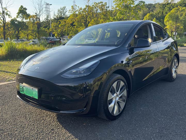 Model Y 2023 rear-wheel drive version