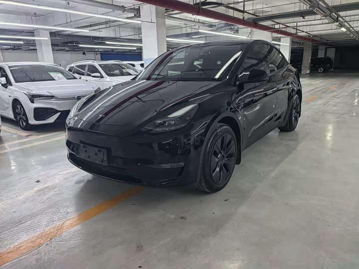 Model Y 2024 Model Long Range All-Wheel Drive Edition