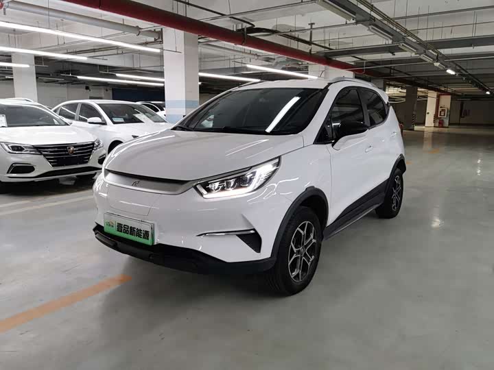 2022 Yuan Pro 2023 401KM Luxury