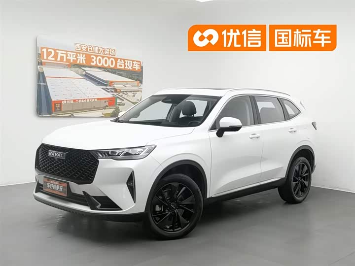 Haval H6 2021 third generation 2.0T automatic two-wheel drive Max