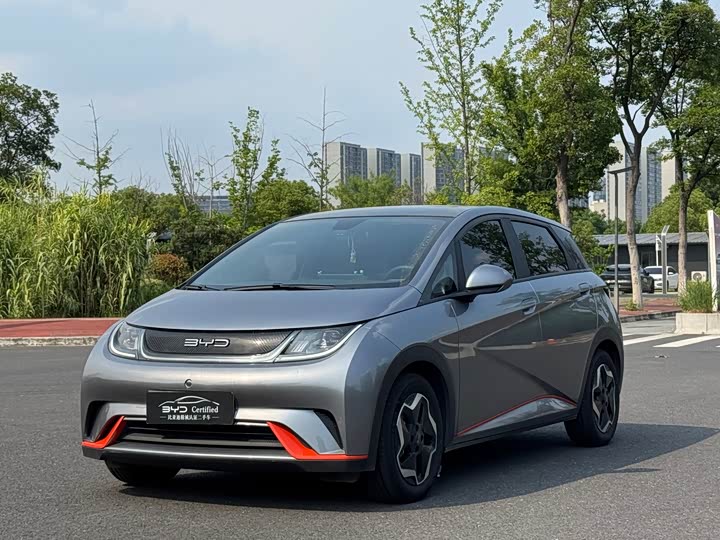 2022 Dolphin 2021 Model 405km Fashion Edition