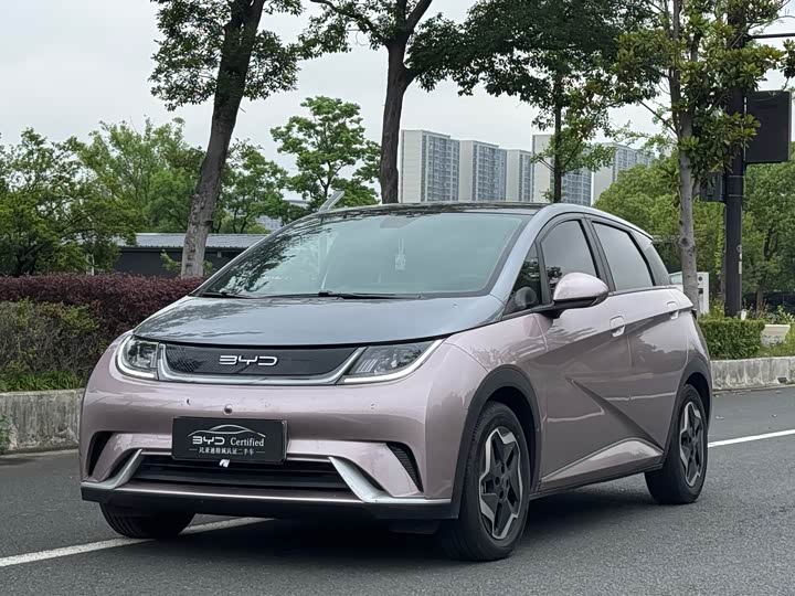 2022 Dolphin 2021 Model 405km Fashion Edition