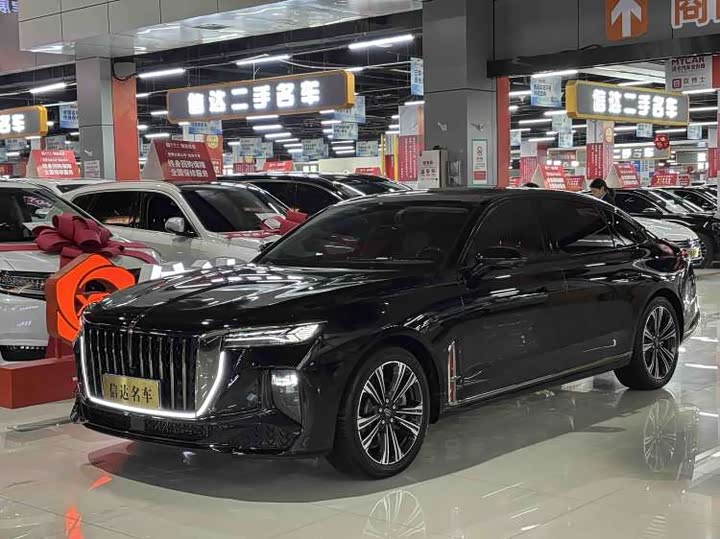 Hongqi H9 2024 2.0T Qichang Private Fashion Edition