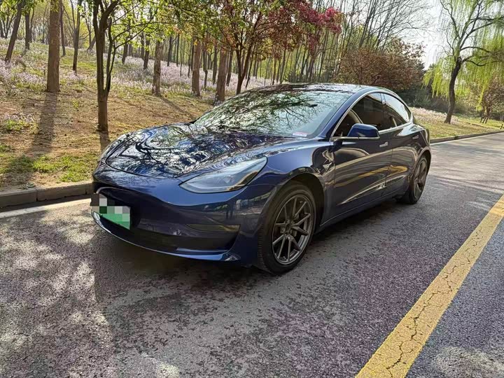 2021 Model 3 2020 Model Facelift Long Range Rear-Wheel Drive Edition