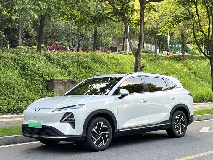 2024 Wuling Starlight S 2024 Model 510km PilotModel