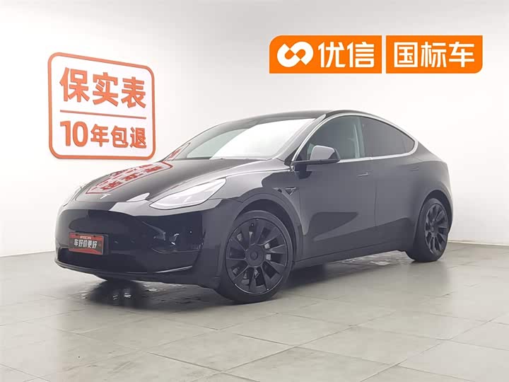 Model Y 2021 standard range rear-wheel drive version