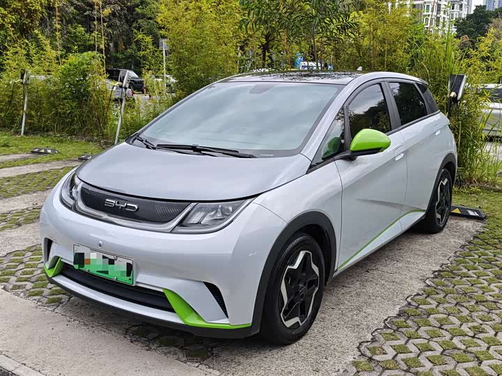 Dolphin 2021 Model 405km Fashion Edition