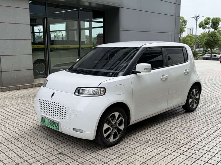 2021 Euler White Cat 2020 Model 305km LuxuryModel