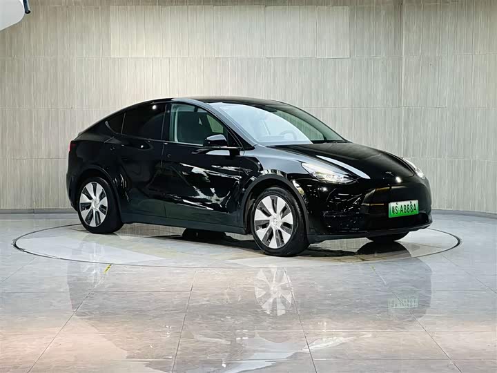 Model Y 2021 standard range rear-wheel drive version