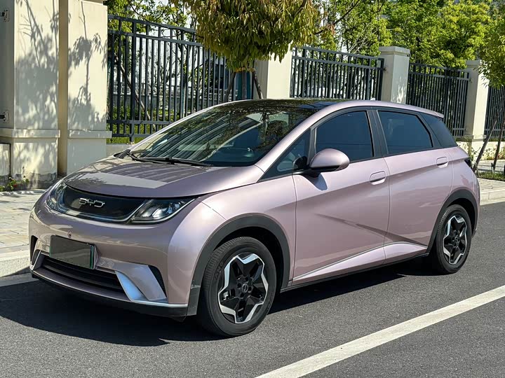 2022 Dolphin 2021 Model 405km Free Edition