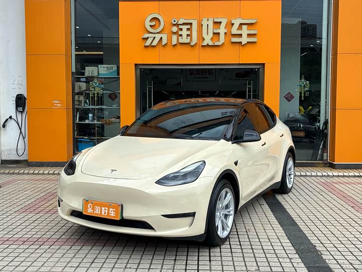 2021 Model Y 2021 Model Standard Range RWD Edition